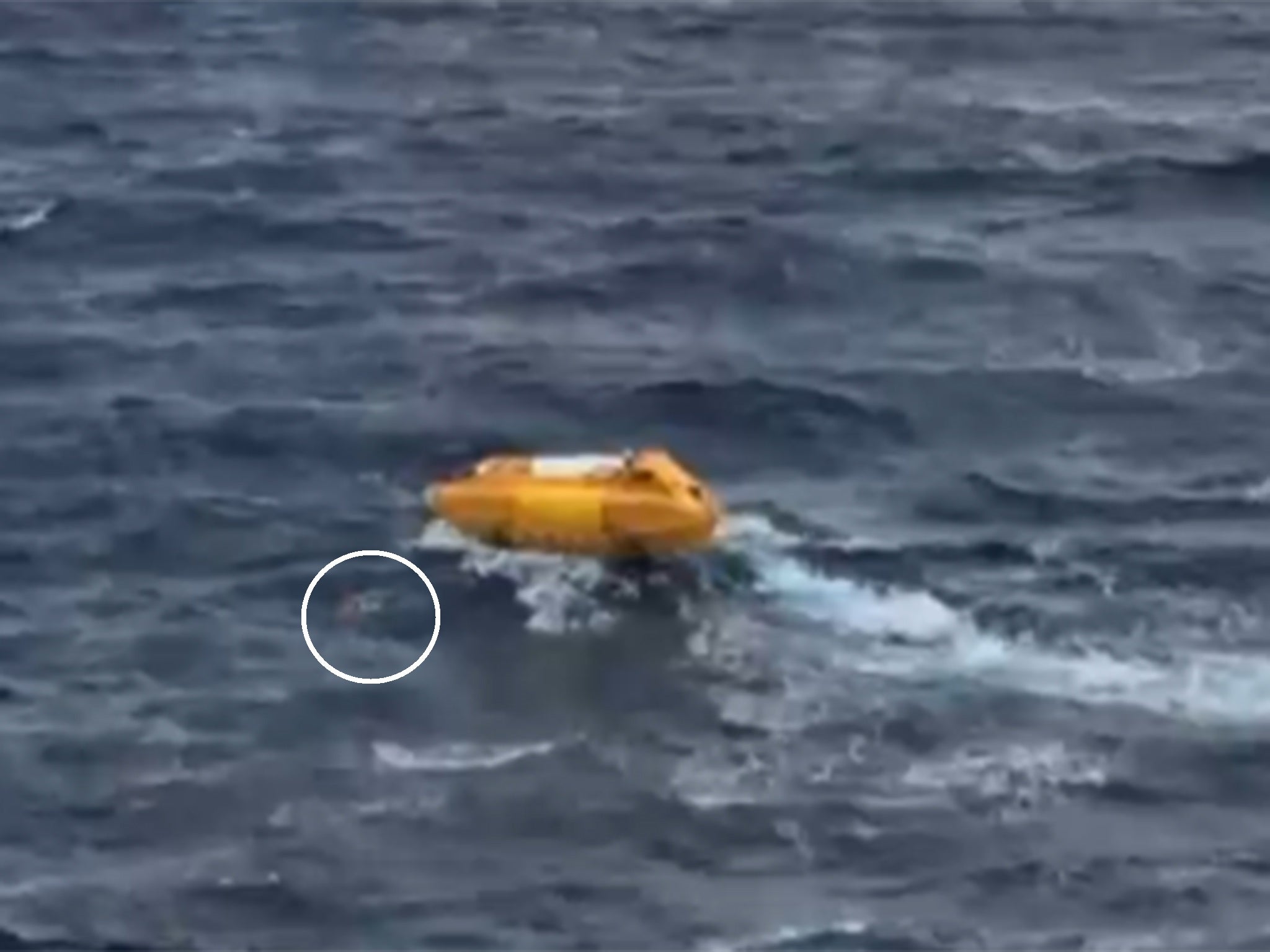 Watch man being rescued by Disney cruise ship after falling off a